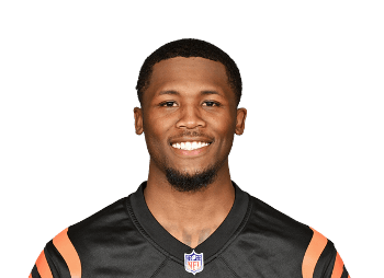 Tee Higgins headshot